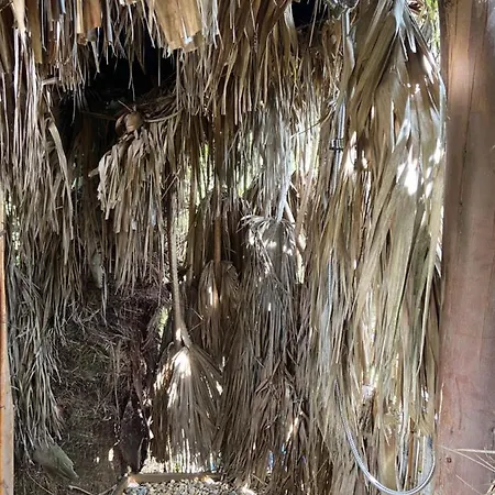 Campismo de Luxo Parque Dos Monges Alcobaça