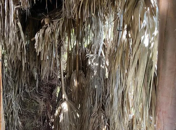Luksustelt Parque Dos Monges Alcobaça